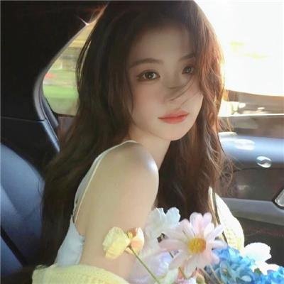 幼狮王朝